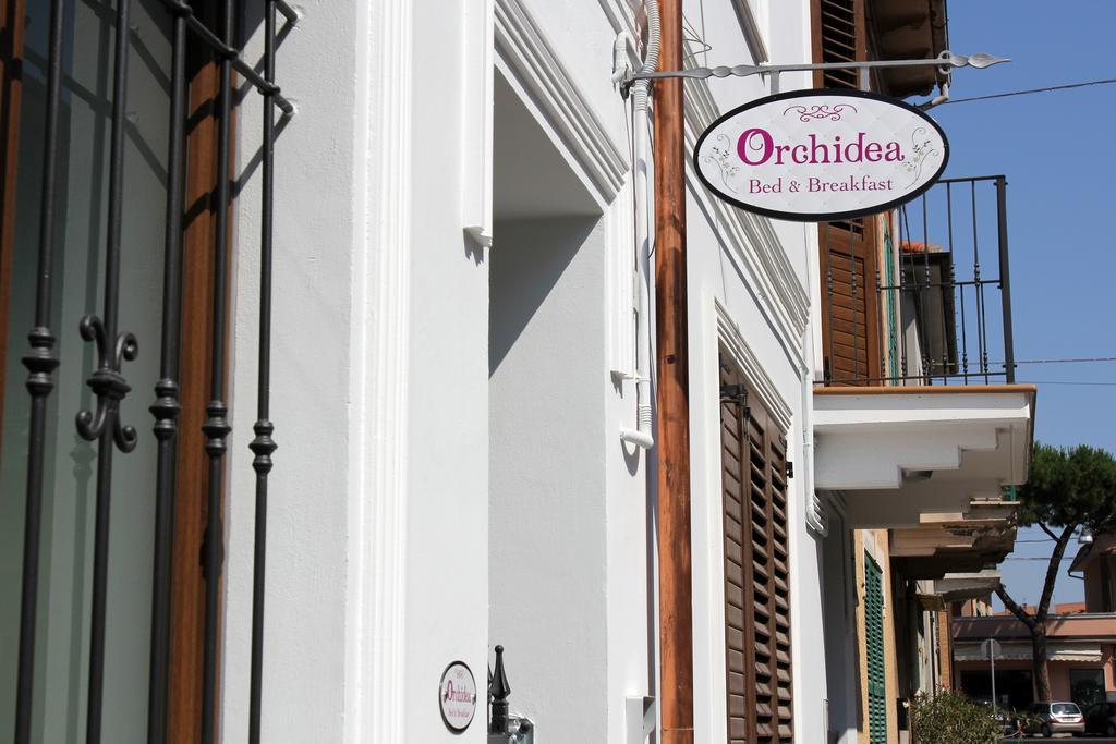 Orchidea Rooms & Suites Чивітанова-Марке Екстер'єр фото